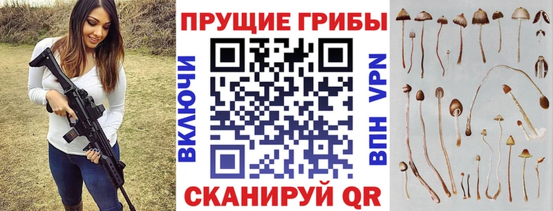 Псилоцибиновые грибы мицелий  Купить  Гремячинск 